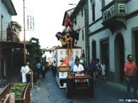 Bufali 1991